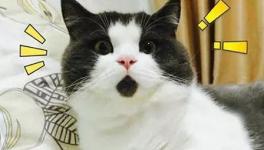 美！太美了！這些花園水泥廠您去過嗎！