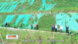 點贊！這一地區(qū)礦山生態(tài)環(huán)境恢復(fù)治理近200公頃！