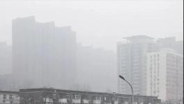 停工停產(chǎn)一個(gè)月！霧霾還是爆表！3000多家水泥企業(yè)“冤不冤”?