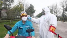 視頻：無(wú)人駕駛調(diào)試、大型設(shè)備組裝......蕪湖海螺復(fù)產(chǎn)！