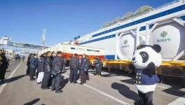 東北海運通道打開，水泥、熟料“高速運輸”直達山東！