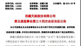 西藏天路股份有限公司高管人員任職大變動！