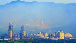 驚喜！這家水泥企業(yè)1月份水泥銷量增長53%！