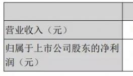 天山股份年報：2020年實現(xiàn)凈利潤15.16億元！