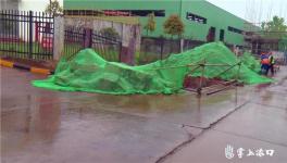 臭味重、蚊蟲多！華新水泥被舉報！