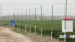 水泥墻里塞泡沫？投資千萬“樣子工程”！