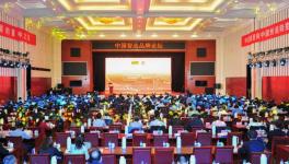 中建材在全球承接379條水泥生產(chǎn)線、市場(chǎng)占有率超過(guò)65%！