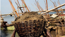 年耗500億噸，沙子快不夠人類使用了！