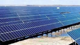 跨界投資！有關(guān)海螺、塔牌、紅獅等水泥集團(tuán)！