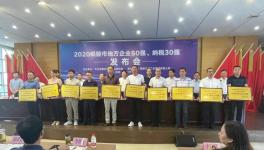 銅陵上峰:連續(xù)9年上榜“地方企業(yè)50強”！