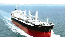 海螺下屬企業(yè)與船東簽單，總計(jì)3億元！