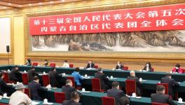 有序推進碳達峰碳中和，向運動式減碳堅決說“不”！