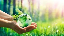 水泥行業(yè)如何“破局”？這場直播給你答案！