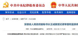 突發(fā)！海螺原董事長被查！