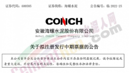 缺錢！海螺子公司“架空”！“借錢”100億 ！