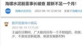 海螺蒸發(fā)1300億，逾700億元投資或存變數(shù)！