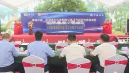 ?總投資額4775萬元！華潤水泥光伏項(xiàng)目開工?！