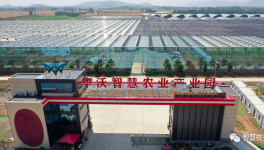 巧用水泥余熱，工業(yè)轉(zhuǎn)型反哺農(nóng)業(yè)！