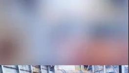 殺公雞！開窯！水泥廠“辟邪”！