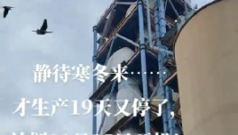 全停！最長200天！20個省水泥廠停產！