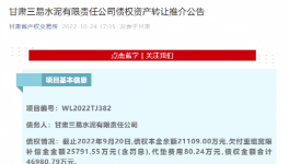 公告！多家水泥廠被賣！