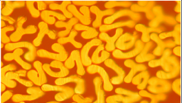 對(duì)比明顯，這個(gè)材料完勝！最長(zhǎng)可用8年，節(jié)約電費(fèi)百萬(wàn)！