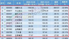 重磅！十大“最慘”水泥廠發(fā)布！