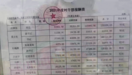 工資曝光！村長“秒殺”水泥廠高管！