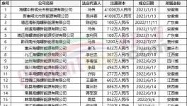 瘋狂！“上下”通吃！海螺連續(xù)成立50多家公司！