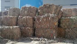 創(chuàng)收40萬/天！替代燃料降本火了！