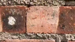 氣憤！“山寨”水泥！“假水泥”泛濫！