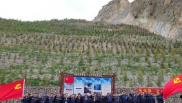 昌都高爭(zhēng)開(kāi)展“黨旗飄，礦山綠”主題活動(dòng)