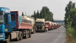 ?水泥廠又排隊(duì)了！原因竟是……